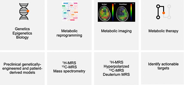 Developing an integrated metabolic therapy and imaging strategy for brain tumors. Developing an integrated metabolic therapy and imaging strategy for brain tumors.