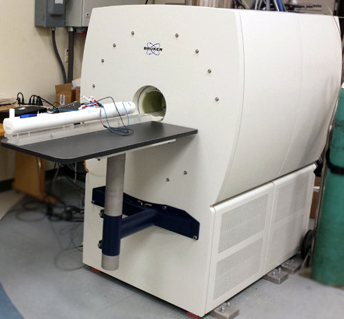 3T Bruker Biospec pre-clinical MRI scanner