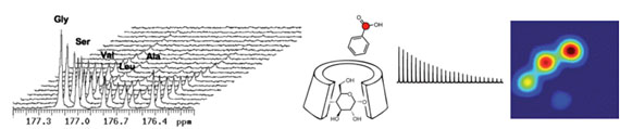 Basic molecular mechanisms in hyperpolarized 13C MRS