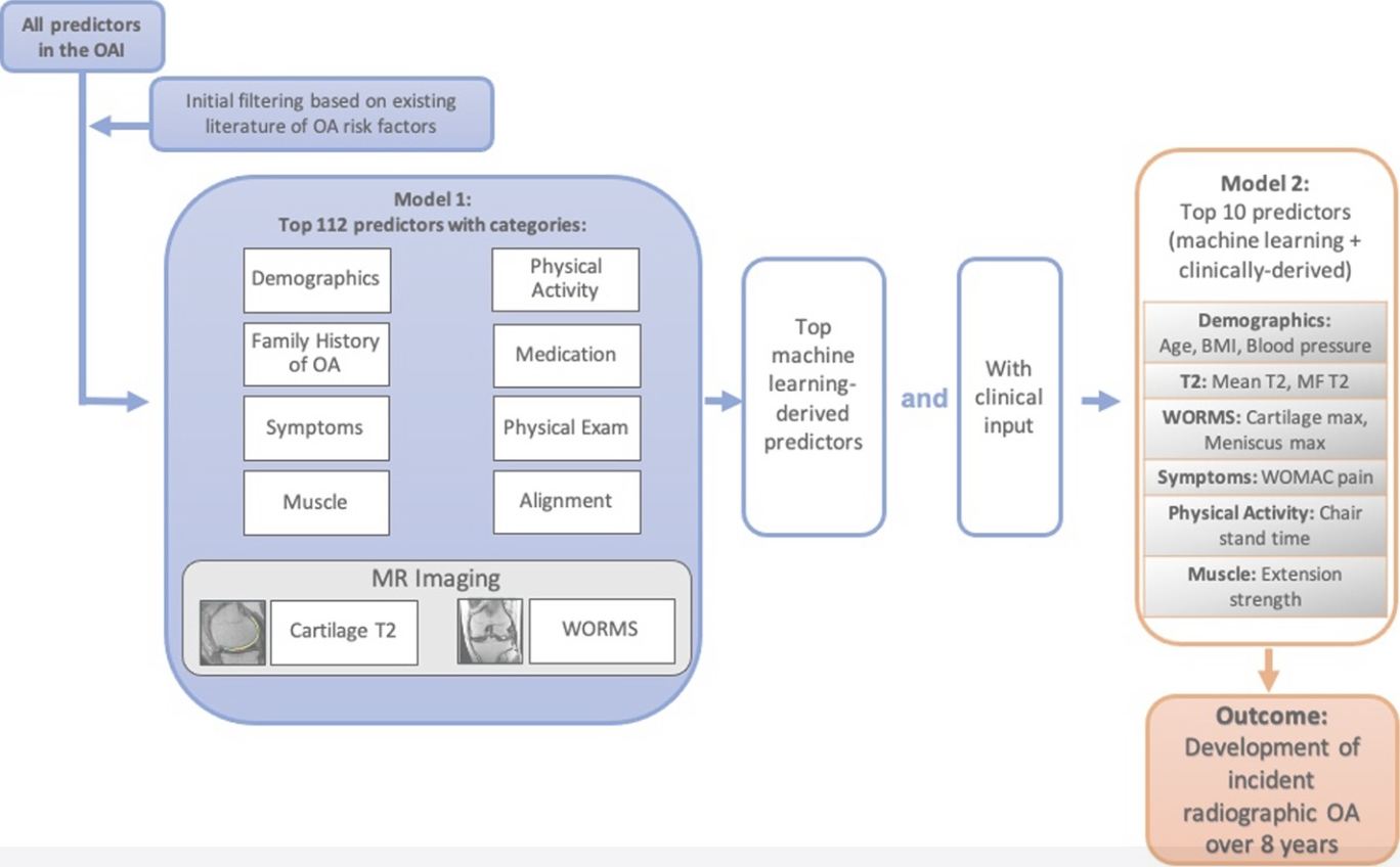 Graphic illustrating machine learning and osteoarthritis process.