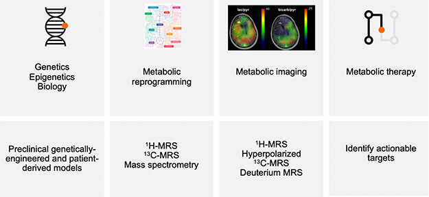 Advances in tumor genetics, epigenetics and biology can be harnessed to drive the preclinical development of novel, metabolic imaging biomarkers and therapeutic targets.