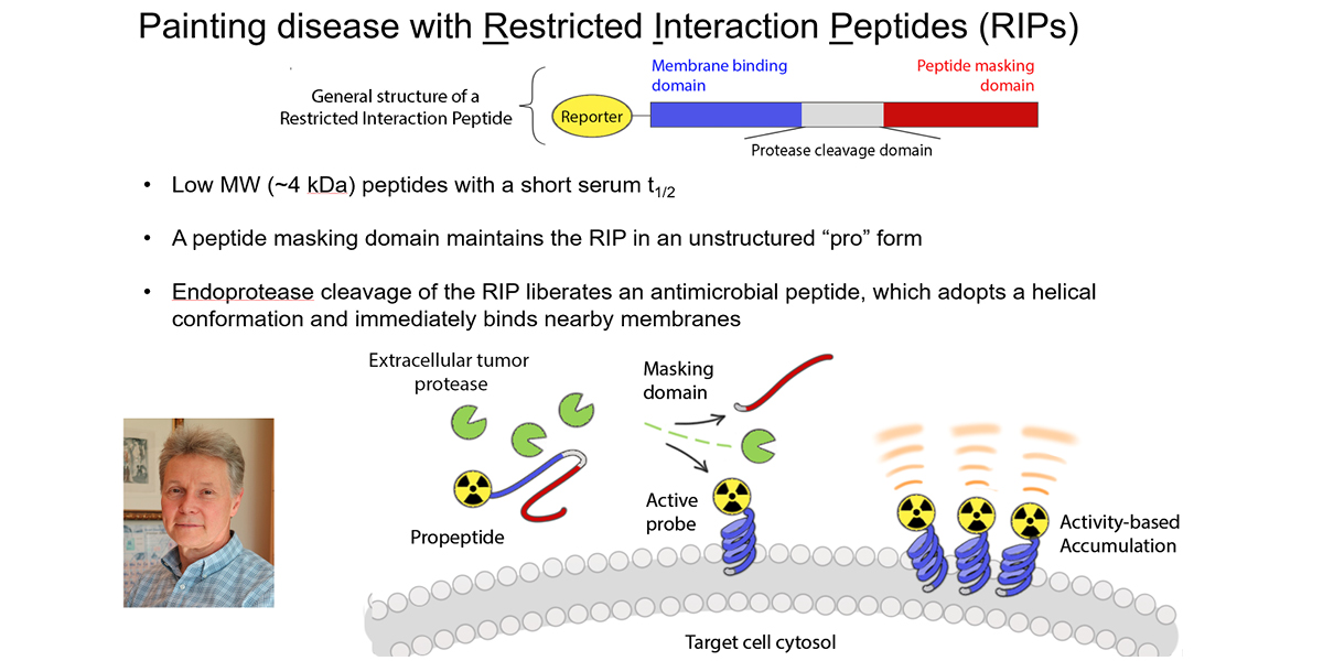 Painting disease with Restricted Interaction Peptides (RIPs)