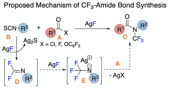 Synthesis of N-trifluoromethyl amides from carboxylic acids 