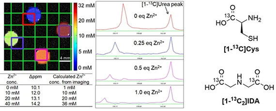 Amino acid-derived sensors for specific Zn2+ detection using hyperpolarized 13C magnetic resonance spectroscopy