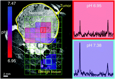  Dynamic nuclear polarization of biocompatible 13C-enriched carbonates for in vivo pH imaging