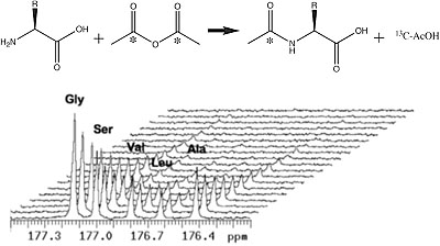 Generation of hyperpolarized substrates by secondary labeling with [1,1-13C] acetic anhydride